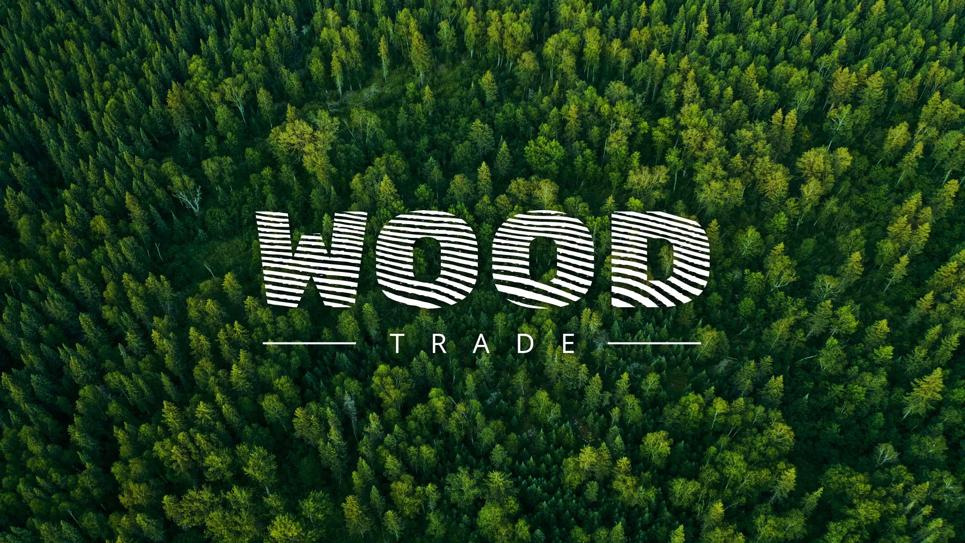 Разработка интернет-магазина компании «Wood Trade» в Железногорске