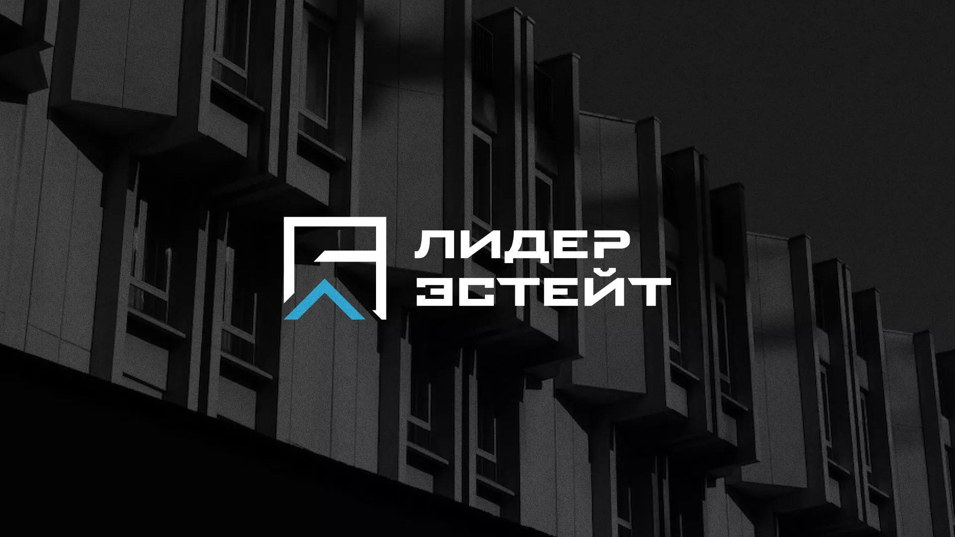 Разработка логотипа агентства недвижимости «Лидер Эстейт» в Железногорске